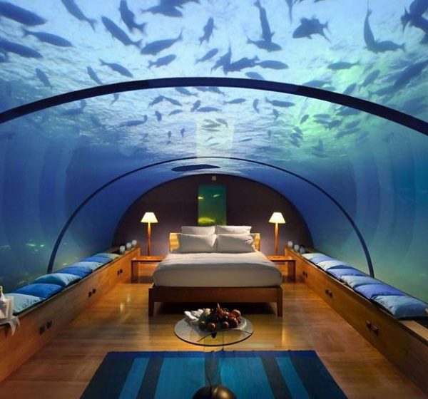 amazing-hotels-2-1-1-34p0nx8qpq8ccetypigqgw